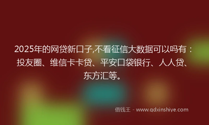 2025年的网贷新口子,不看征信大数据可以吗有：投友圈、维信卡卡贷、平安口袋银行、人人贷、东方汇等。