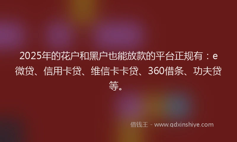 2025年的花户和黑户也能放款的平台正规有：e微贷、信用卡贷、维信卡卡贷、360借条、功夫贷等。