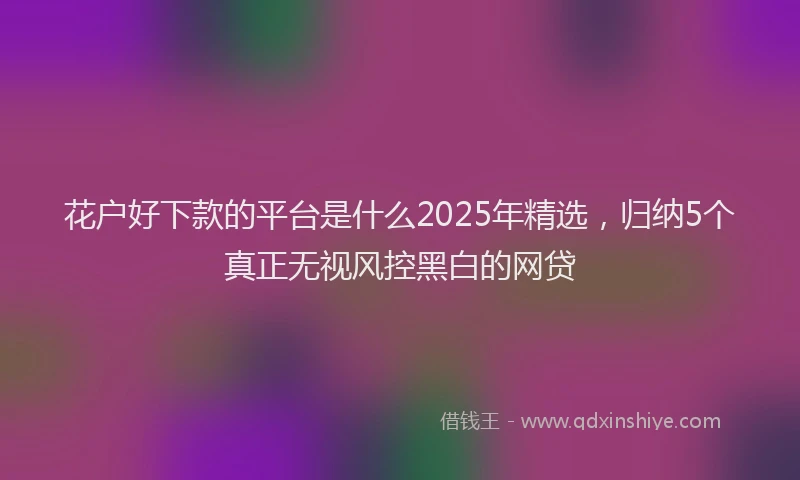 花户好下款的平台是什么2025年精选，归纳5个真正无视风控黑白的网贷