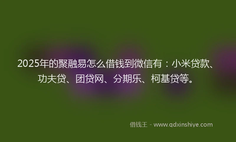 2025年的聚融易怎么借钱到微信有：小米贷款、功夫贷、团贷网、分期乐、柯基贷等。