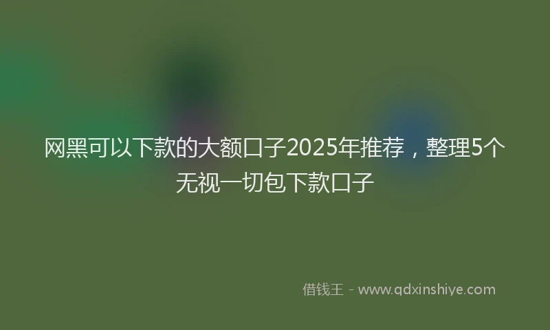 网黑可以下款的大额口子2025年推荐，整理5个无视一切包下款口子