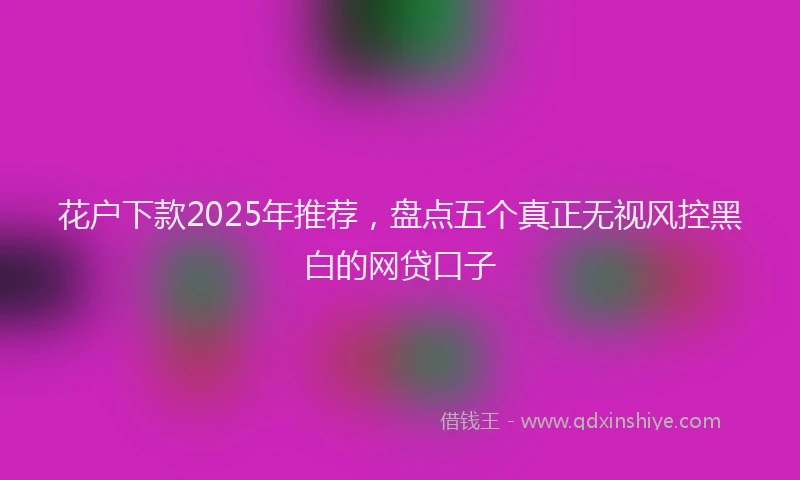 花户下款2025年推荐，盘点五个真正无视风控黑白的网贷口子