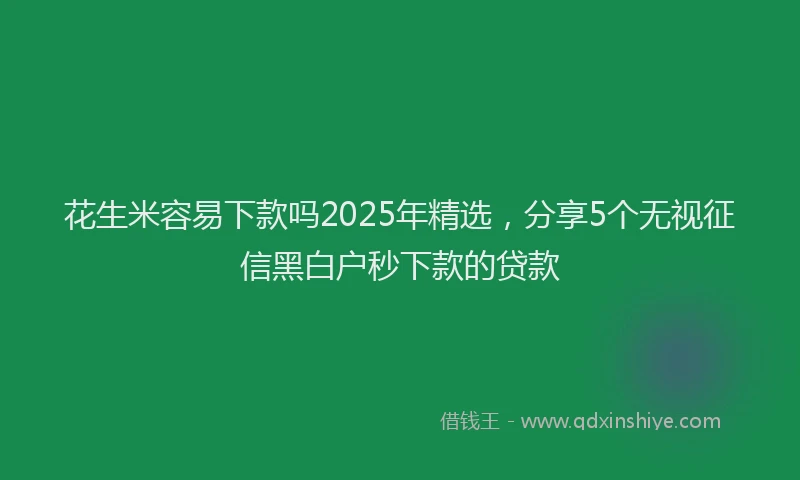 花生米容易下款吗2025年精选，分享5个无视征信黑白户秒下款的贷款