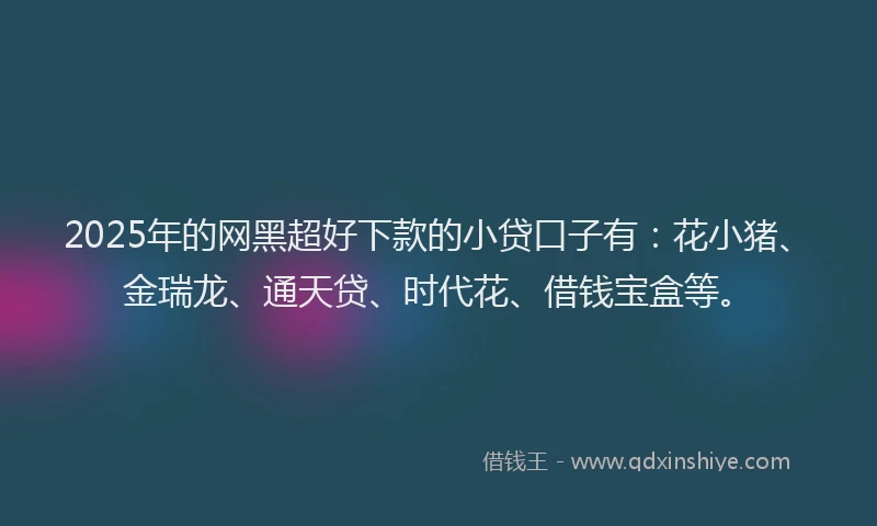 2025年的网黑超好下款的小贷口子有：花小猪、金瑞龙、通天贷、时代花、借钱宝盒等。