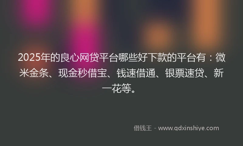 2025年的良心网贷平台哪些好下款的平台有：微米金条、现金秒借宝、钱速借通、银票速贷、新一花等。