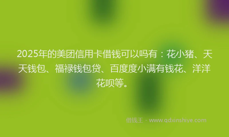 2025年的美团信用卡借钱可以吗有：花小猪、天天钱包、福禄钱包贷、百度度小满有钱花、洋洋花呗等。