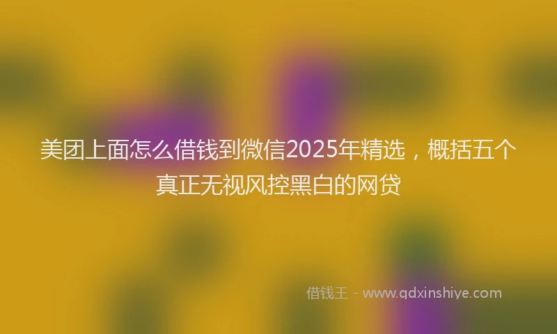 美团上面怎么借钱到微信2025年精选，概括五个真正无视风控黑白的网贷