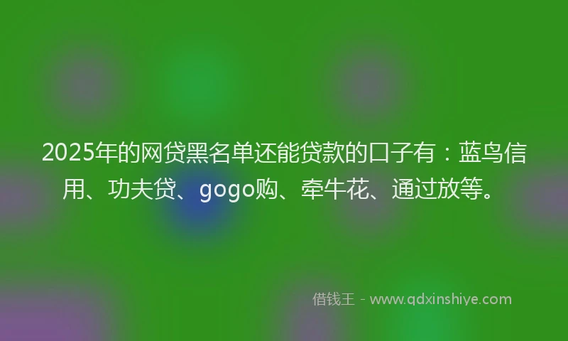 2025年的网贷黑名单还能贷款的口子有：蓝鸟信用、功夫贷、gogo购、牵牛花、通过放等。