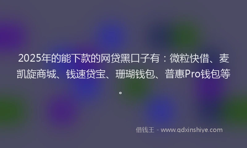 2025年的能下款的网贷黑口子有：微粒快借、麦凯旋商城、钱速贷宝、珊瑚钱包、普惠Pro钱包等。