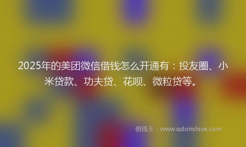 2025年的美团微信借钱怎么开通有：投友圈、小米贷款、功夫贷、花呗、微粒贷等。