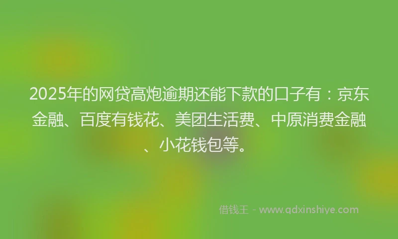 2025年的网贷高炮逾期还能下款的口子有：京东金融、百度有钱花、美团生活费、中原消费金融、小花钱包等。
