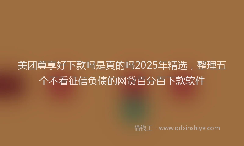 美团尊享好下款吗是真的吗2025年精选，整理五个不看征信负债的网贷百分百下款软件