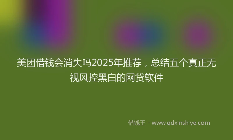 美团借钱会消失吗2025年推荐，总结五个真正无视风控黑白的网贷软件