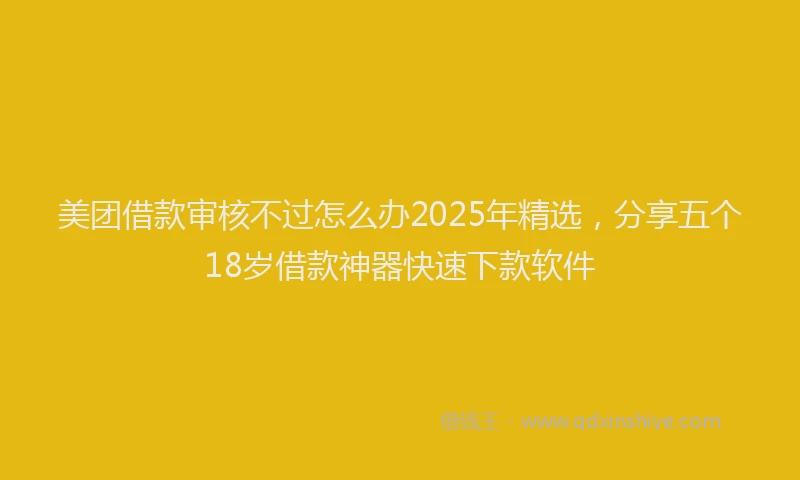 美团借款审核不过怎么办2025年精选，分享五个18岁借款神器快速下款软件