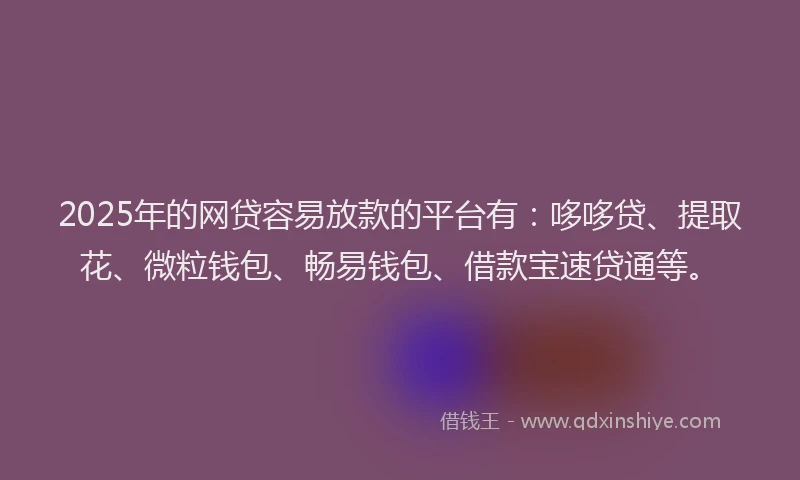 2025年的网贷容易放款的平台有：哆哆贷、提取花、微粒钱包、畅易钱包、借款宝速贷通等。
