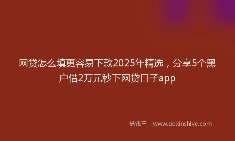 网贷怎么填更容易下款2025年精选，分享5个黑户借2万元秒下网贷口子app