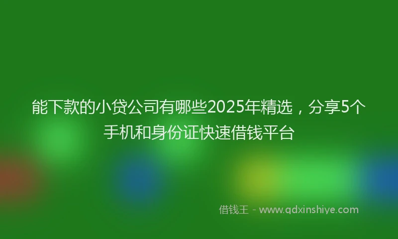 能下款的小贷公司有哪些2025年精选，分享5个手机和身份证快速借钱平台