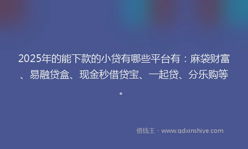 2025年的能下款的小贷有哪些平台有：麻袋财富、易融贷盒、现金秒借贷宝、一起贷、分乐购等。