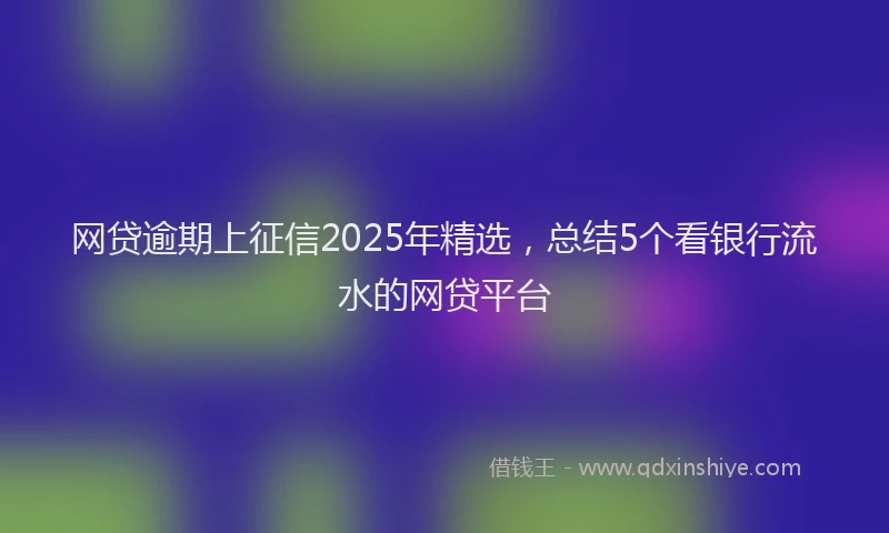 网贷逾期上征信2025年精选，总结5个看银行流水的网贷平台