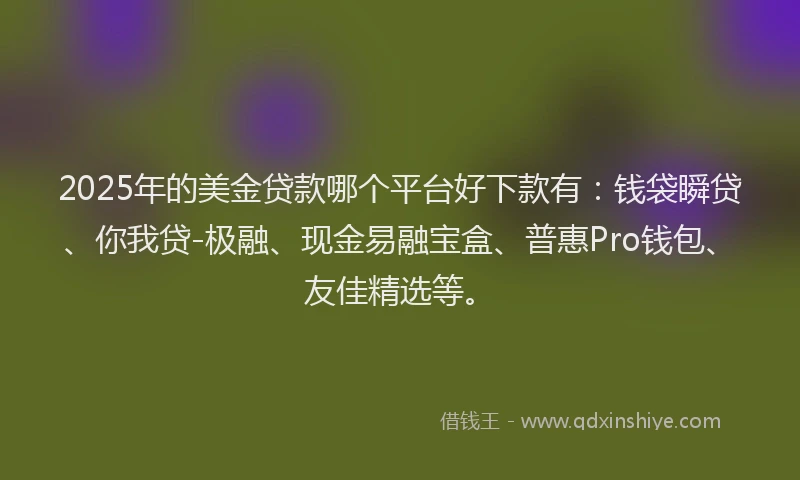 2025年的美金贷款哪个平台好下款有：钱袋瞬贷、你我贷-极融、现金易融宝盒、普惠Pro钱包、友佳精选等。