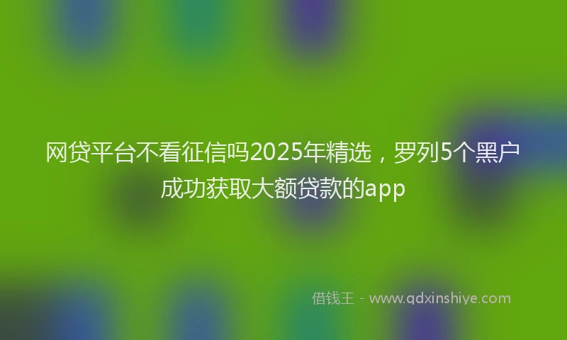 网贷平台不看征信吗2025年精选，罗列5个黑户成功获取大额贷款的app