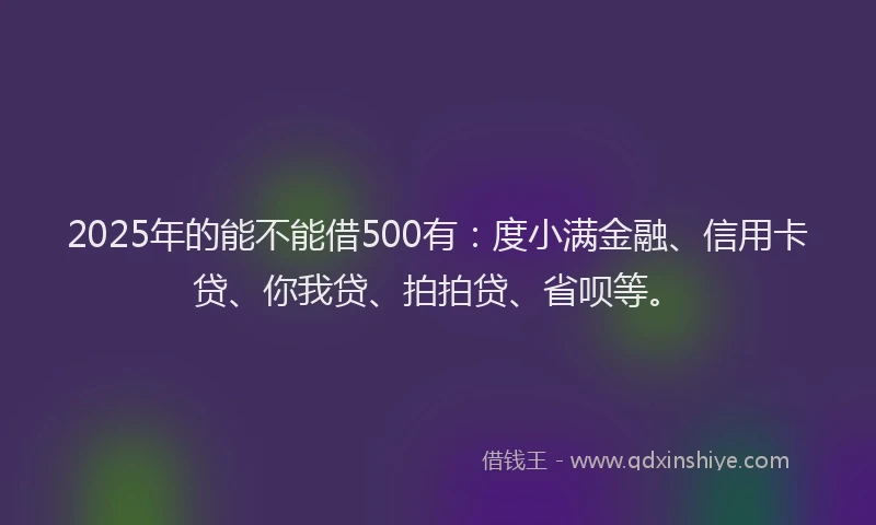 2025年的能不能借500有：度小满金融、信用卡贷、你我贷、拍拍贷、省呗等。
