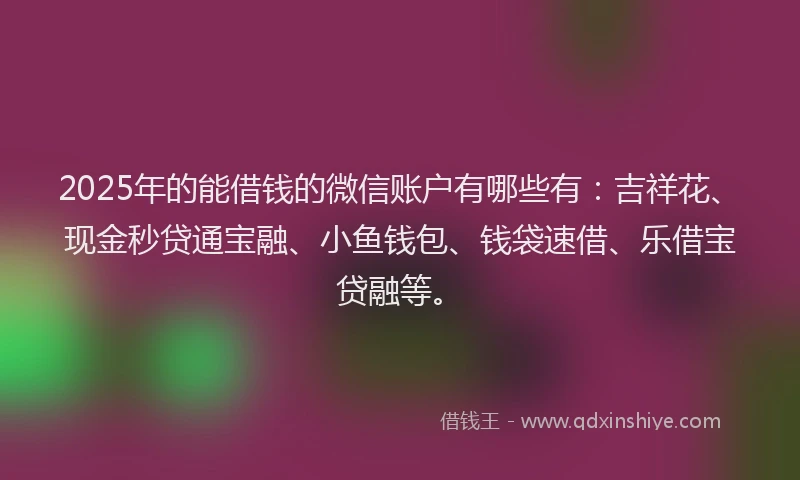 2025年的能借钱的微信账户有哪些有：吉祥花、现金秒贷通宝融、小鱼钱包、钱袋速借、乐借宝贷融等。