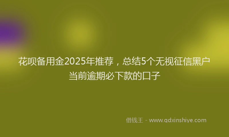 花呗备用金2025年推荐，总结5个无视征信黑户当前逾期必下款的口子