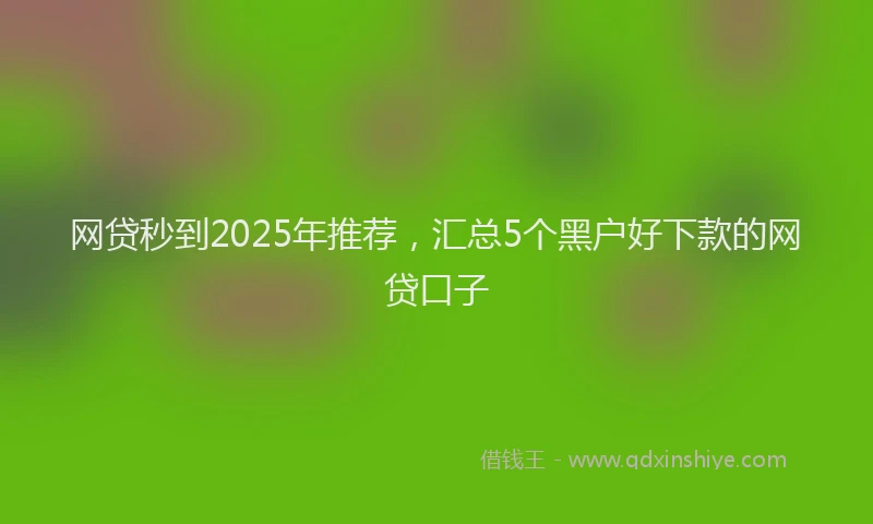 网贷秒到2025年推荐，汇总5个黑户好下款的网贷口子