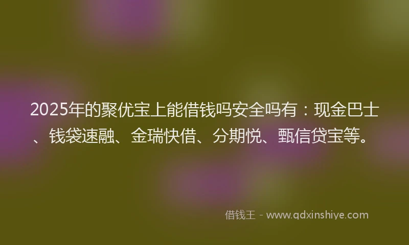 2025年的聚优宝上能借钱吗安全吗有：现金巴士、钱袋速融、金瑞快借、分期悦、甄信贷宝等。