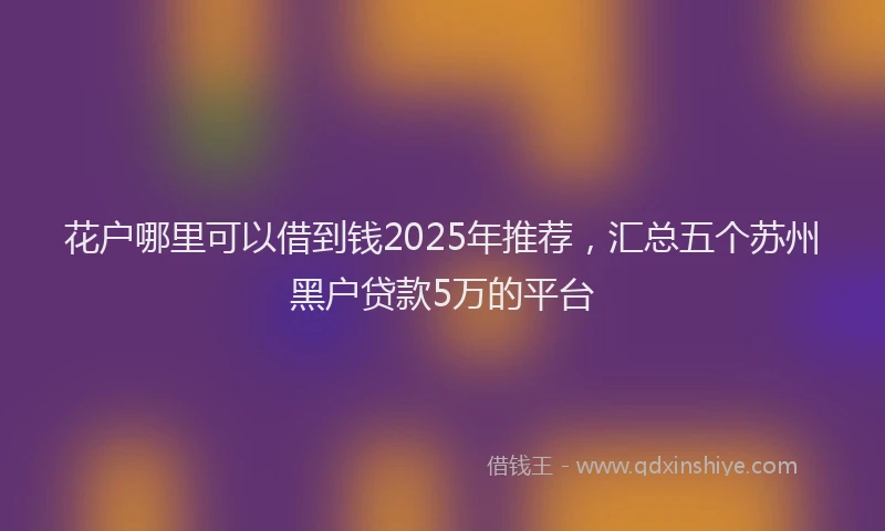 花户哪里可以借到钱2025年推荐，汇总五个苏州黑户贷款5万的平台