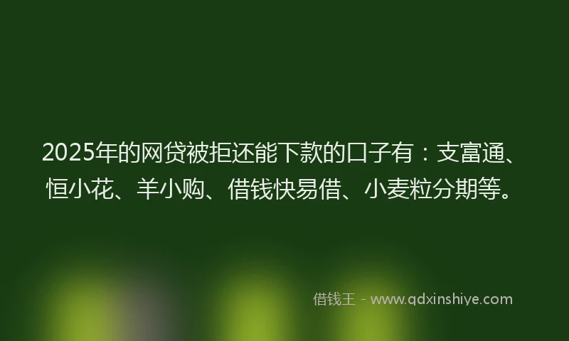 2025年的网贷被拒还能下款的口子有：支富通、恒小花、羊小购、借钱快易借、小麦粒分期等。