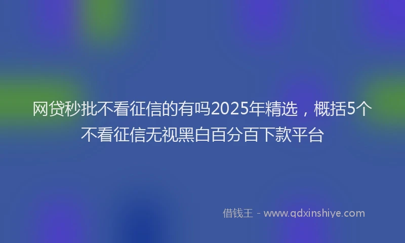 网贷秒批不看征信的有吗2025年精选，概括5个不看征信无视黑白百分百下款平台