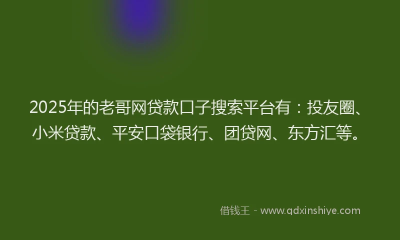 2025年的老哥网贷款口子搜索平台有：投友圈、小米贷款、平安口袋银行、团贷网、东方汇等。