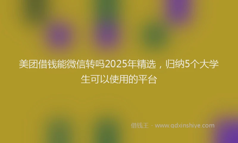 美团借钱能微信转吗2025年精选，归纳5个大学生可以使用的平台