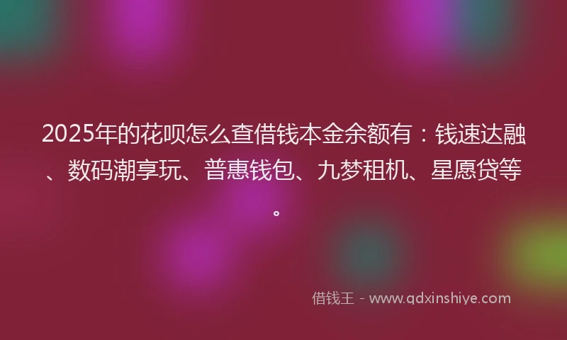 2025年的花呗怎么查借钱本金余额有：钱速达融、数码潮享玩、普惠钱包、九梦租机、星愿贷等。