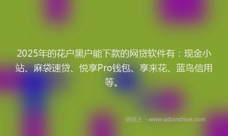 2025年的花户黑户能下款的网贷软件有：现金小站、麻袋速贷、悦享Pro钱包、享来花、蓝鸟信用等。