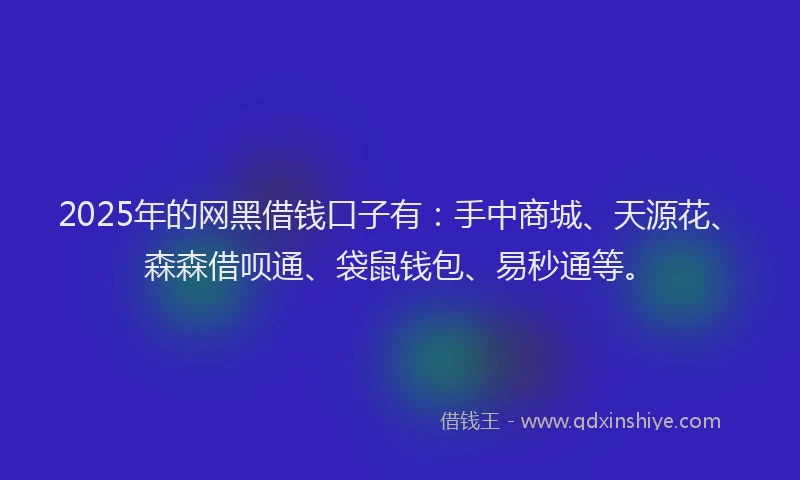 2025年的网黑借钱口子有：手中商城、天源花、森森借呗通、袋鼠钱包、易秒通等。
