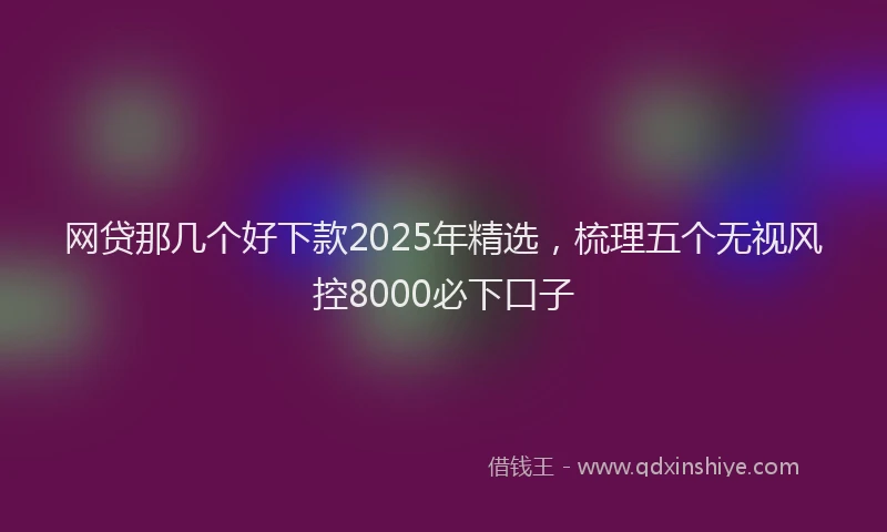 网贷那几个好下款2025年精选，梳理五个无视风控8000必下口子