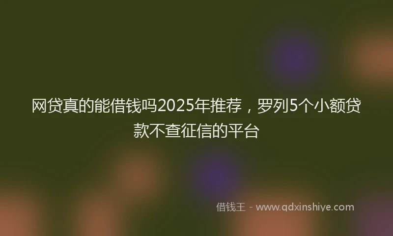 网贷真的能借钱吗2025年推荐，罗列5个小额贷款不查征信的平台
