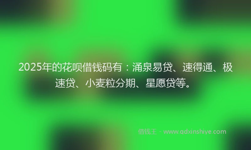 2025年的花呗借钱码有：涌泉易贷、速得通、极速贷、小麦粒分期、星愿贷等。