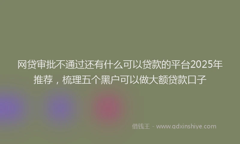 网贷审批不通过还有什么可以贷款的平台2025年推荐，梳理五个黑户可以做大额贷款口子