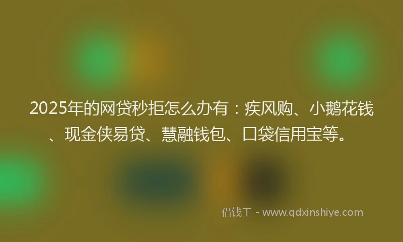2025年的网贷秒拒怎么办有：疾风购、小鹅花钱、现金侠易贷、慧融钱包、口袋信用宝等。