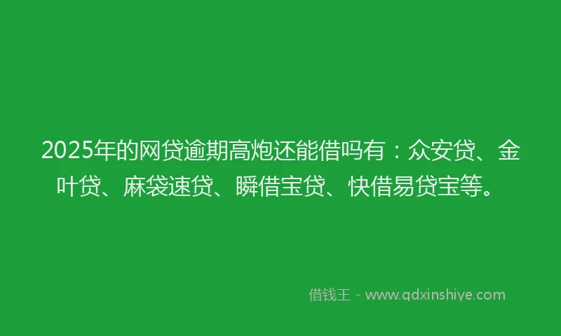 2025年的网贷逾期高炮还能借吗有：众安贷、金叶贷、麻袋速贷、瞬借宝贷、快借易贷宝等。