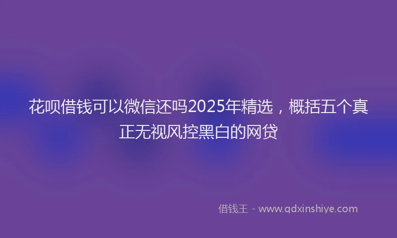 花呗借钱可以微信还吗2025年精选，概括五个真正无视风控黑白的网贷