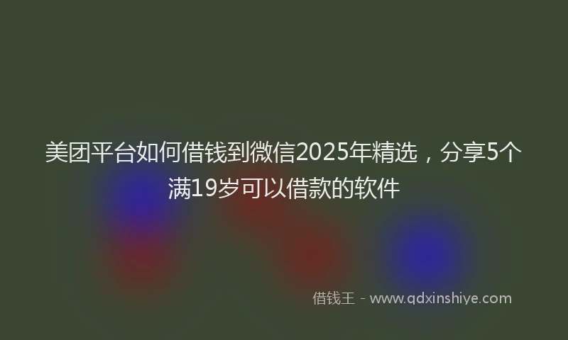 美团平台如何借钱到微信2025年精选，分享5个满19岁可以借款的软件