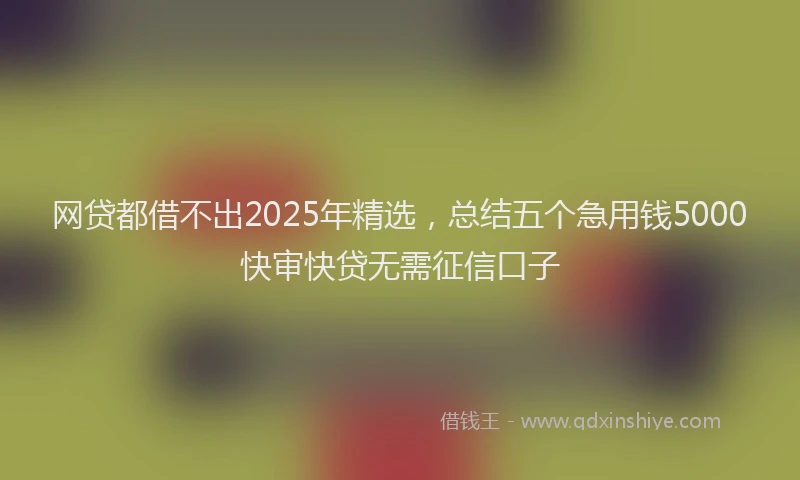 网贷都借不出2025年精选，总结五个急用钱5000快审快贷无需征信口子
