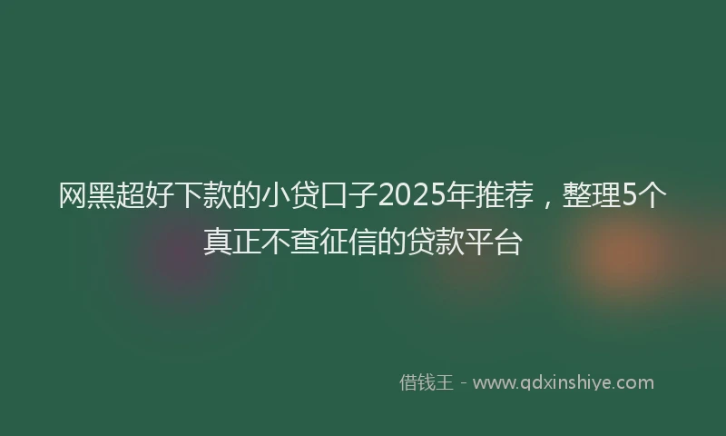 网黑超好下款的小贷口子2025年推荐，整理5个真正不查征信的贷款平台