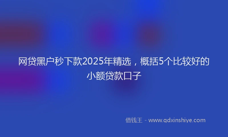 网贷黑户秒下款2025年精选，概括5个比较好的小额贷款口子