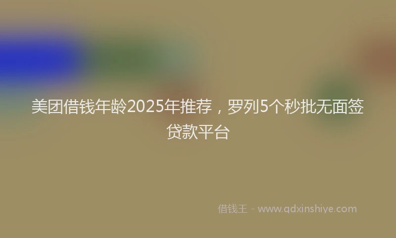 美团借钱年龄2025年推荐，罗列5个秒批无面签贷款平台